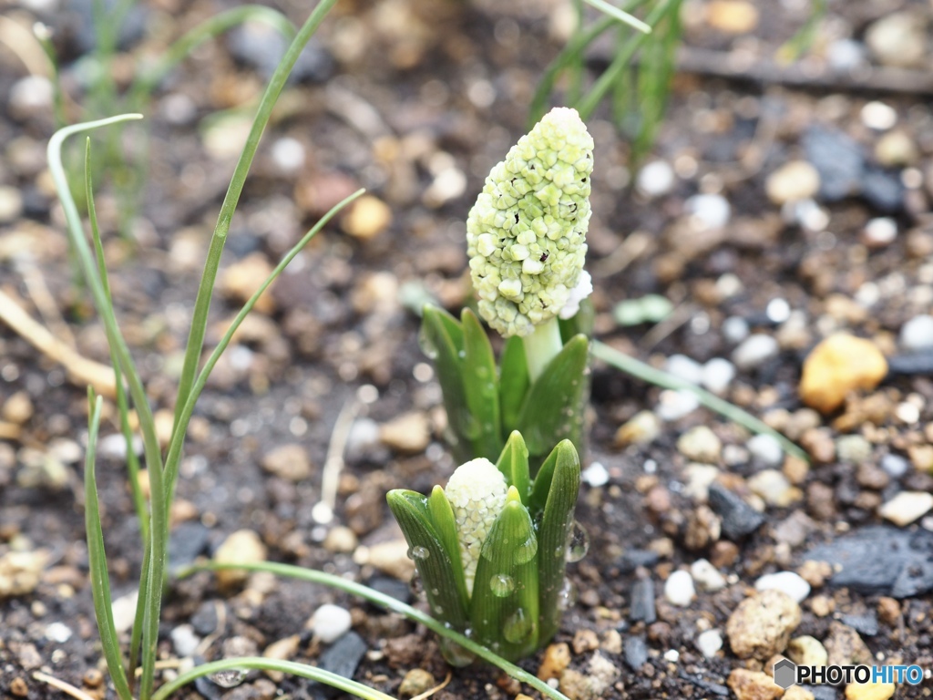 はじめまして…