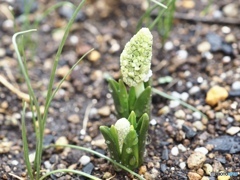 はじめまして…