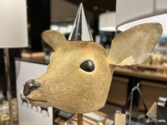 コレを被れば鹿となる