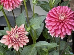 7月10日