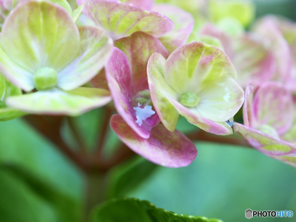 ちいさな空が見えますか？
