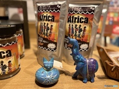 meet africa