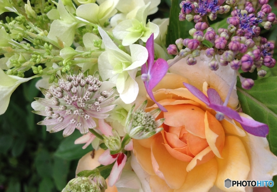 blogheaderのうちの1枚