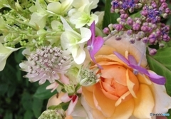 blogheaderのうちの1枚