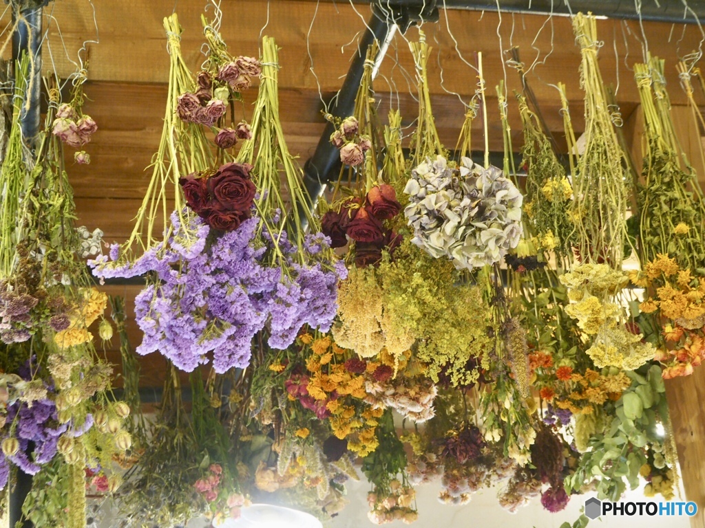 dry flower