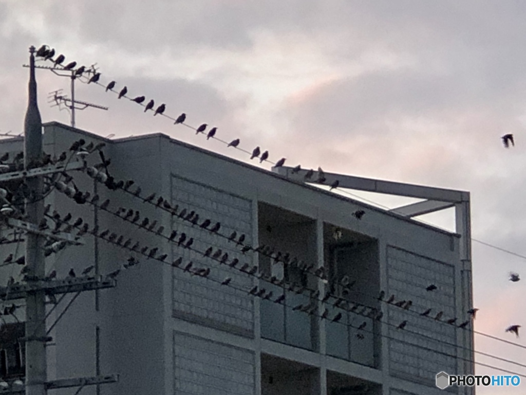 僕らは海の日も此処に居る