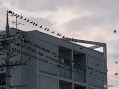 僕らは海の日も此処に居る