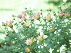 暑くなりそうだね…