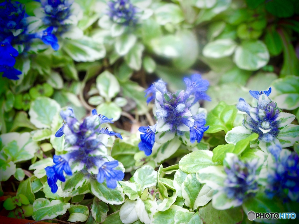 手をつなごうよ