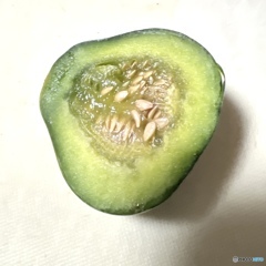 めろん第一号