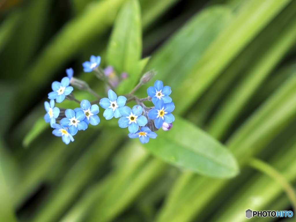 こんな場所からこんにちは