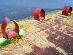 雨降り散歩途中