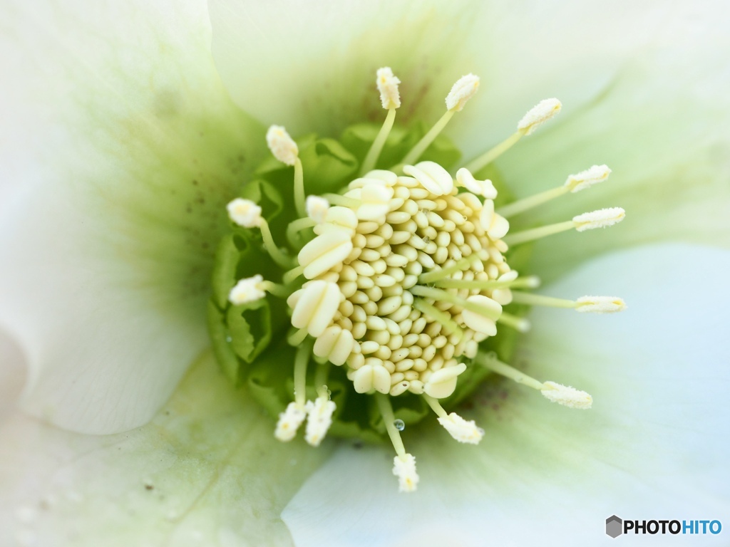 おはよう…愛しいあなた