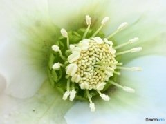 おはよう…愛しいあなた