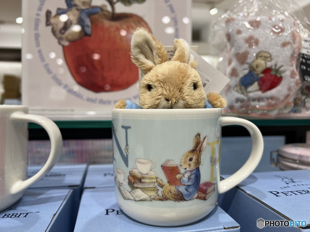 ココからご挨拶