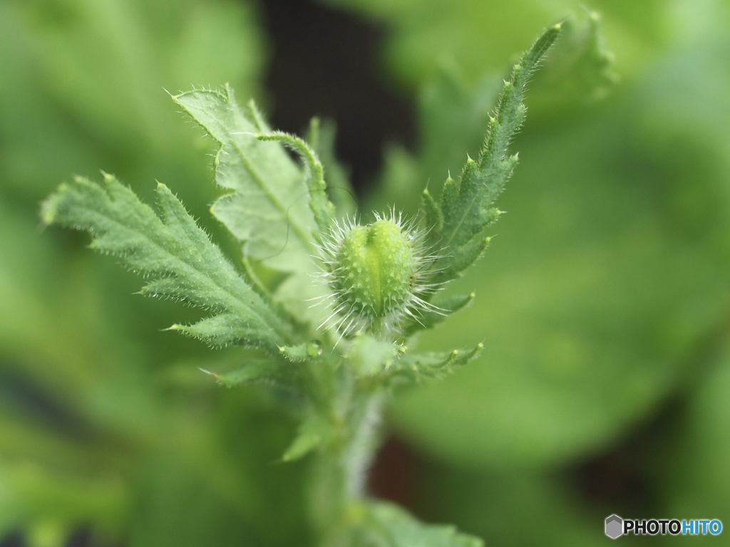生まれてきたよ…よろしくね
