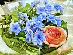 水中花