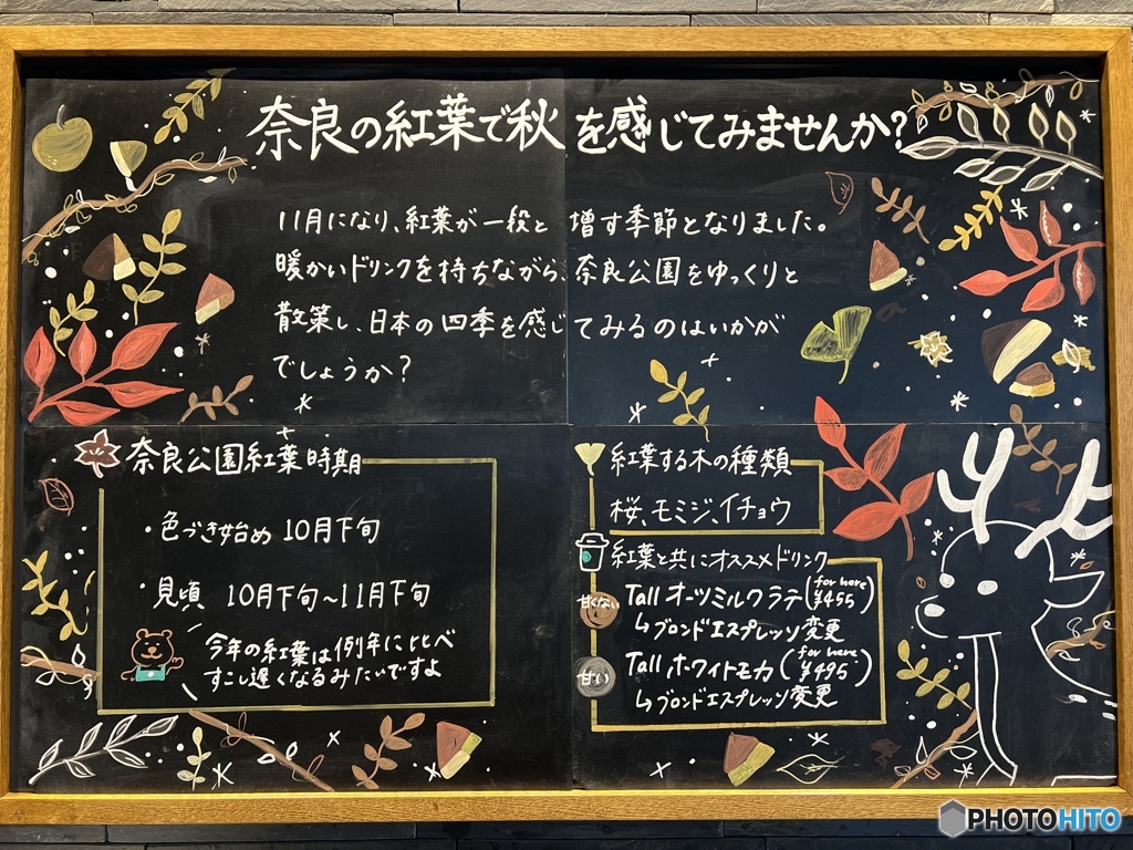 今は此処に居ます