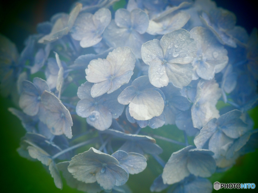 Rainy Tuesday