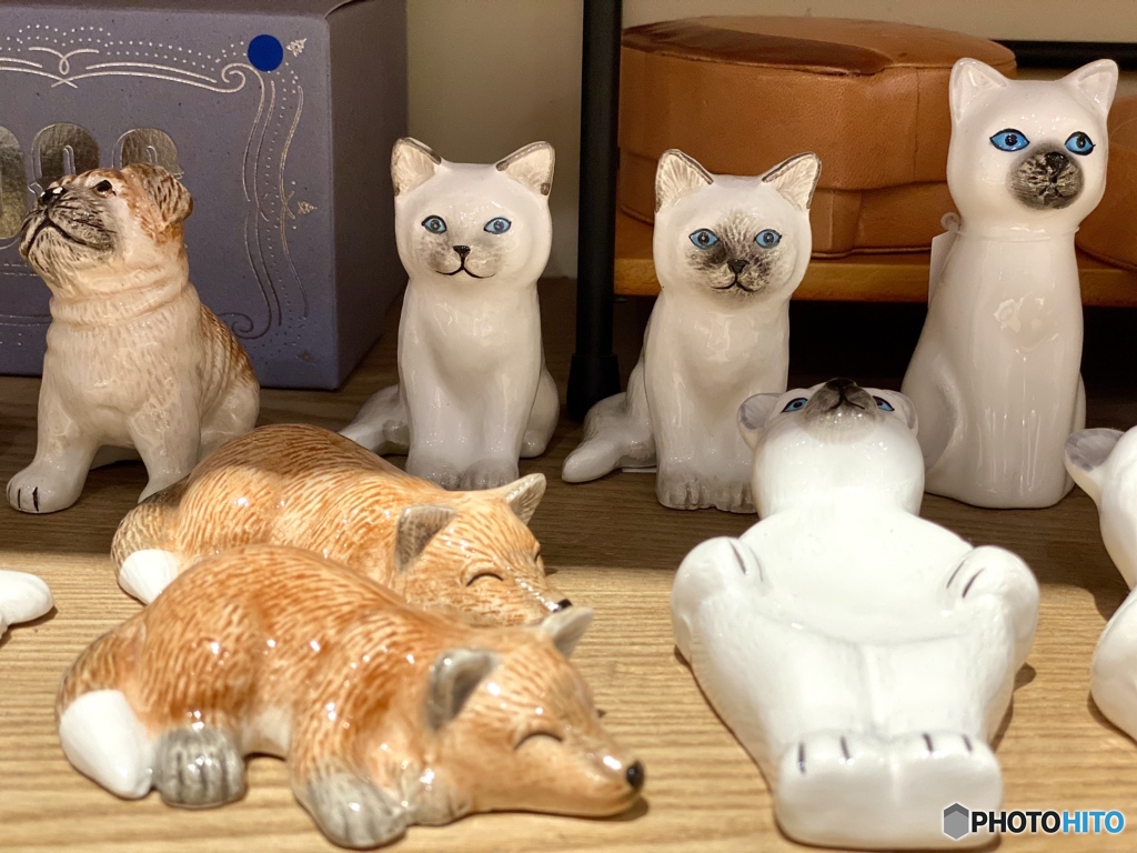 ゴロリ…とシャキッと