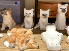 ゴロリ…とシャキッと