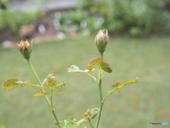 手を繋ぎたいな…