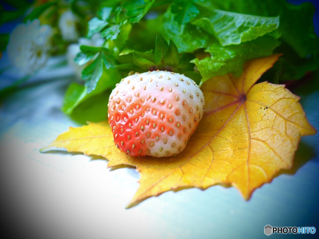 黄色いトレイにのせましょう