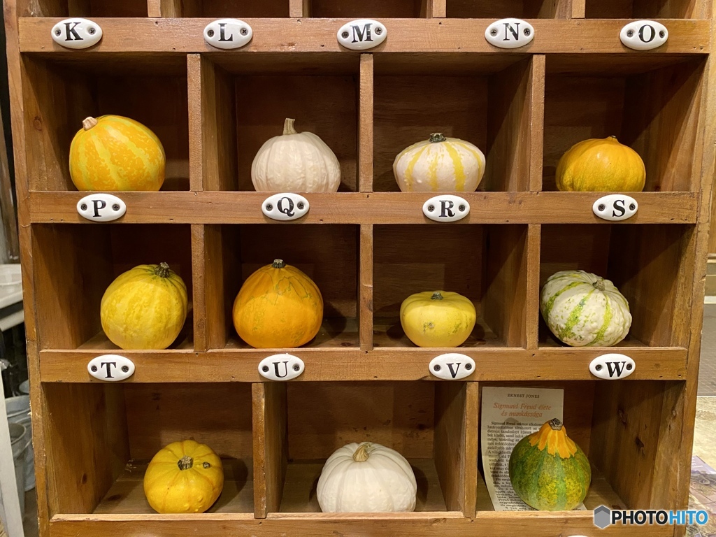 オモチャカボチャの学校