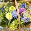 6月26日