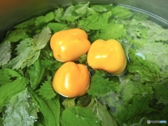ナツイロ