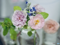 優しい夢をみてください