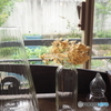 inside the glass window