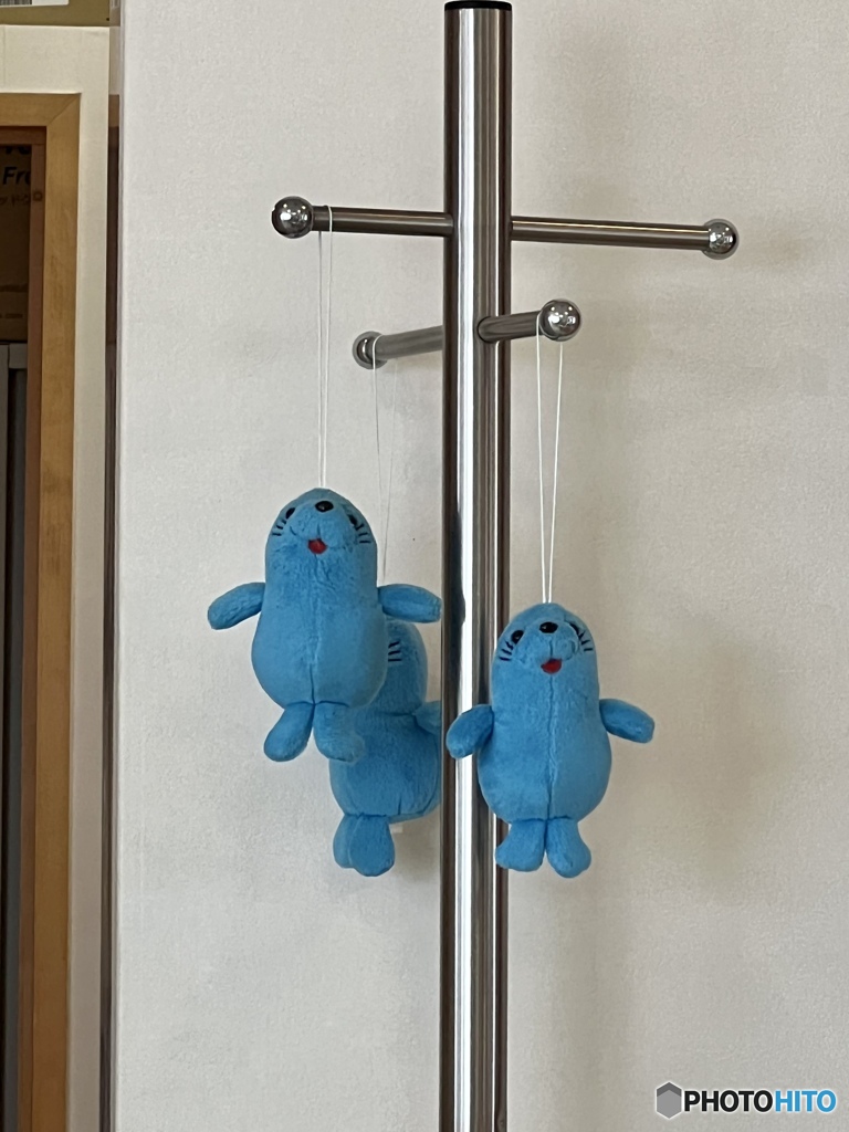 自由なボクたち