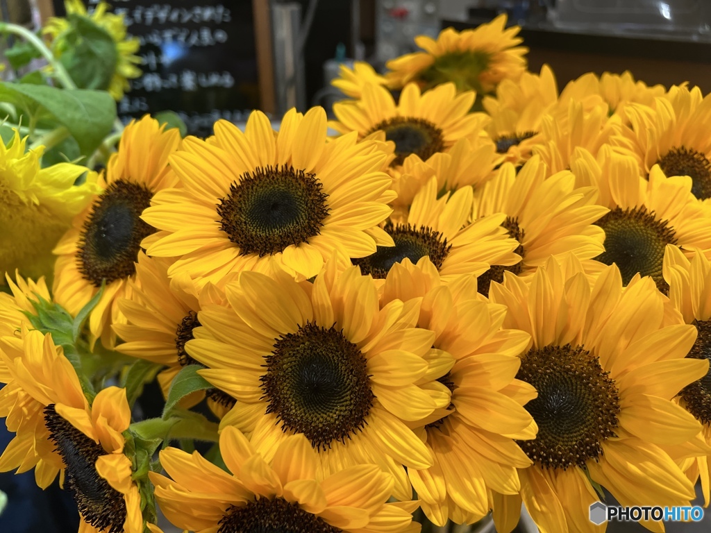 Yellow time