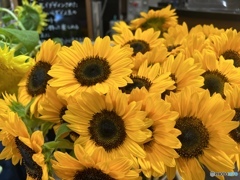 Yellow time