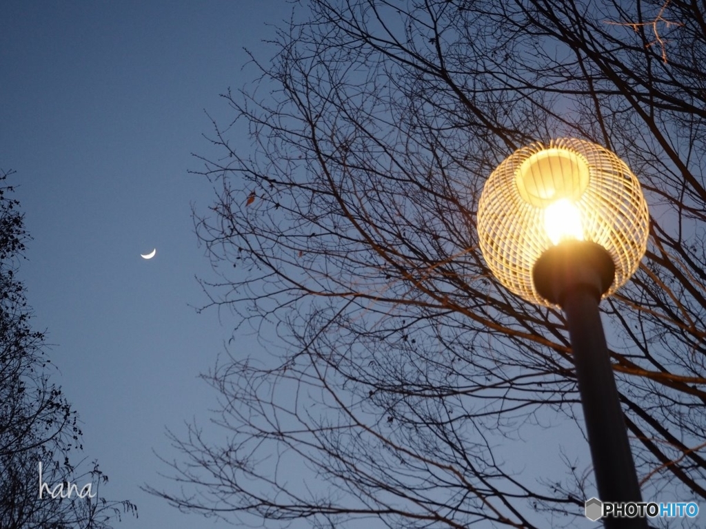 月と灯りのrendez-vous