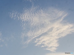 移り気な空