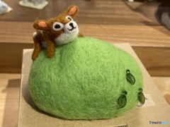 若草山に登るんだ〜