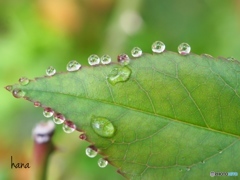 みんな並んで〜その③