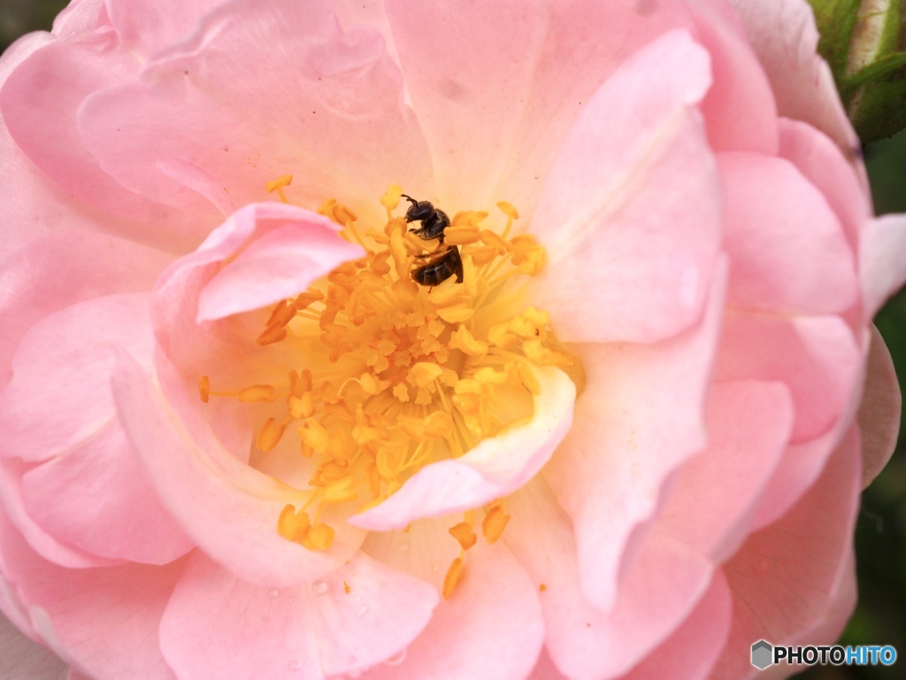 お腹が空いてる時には…