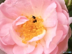 お腹が空いてる時には…