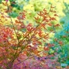 11月23日