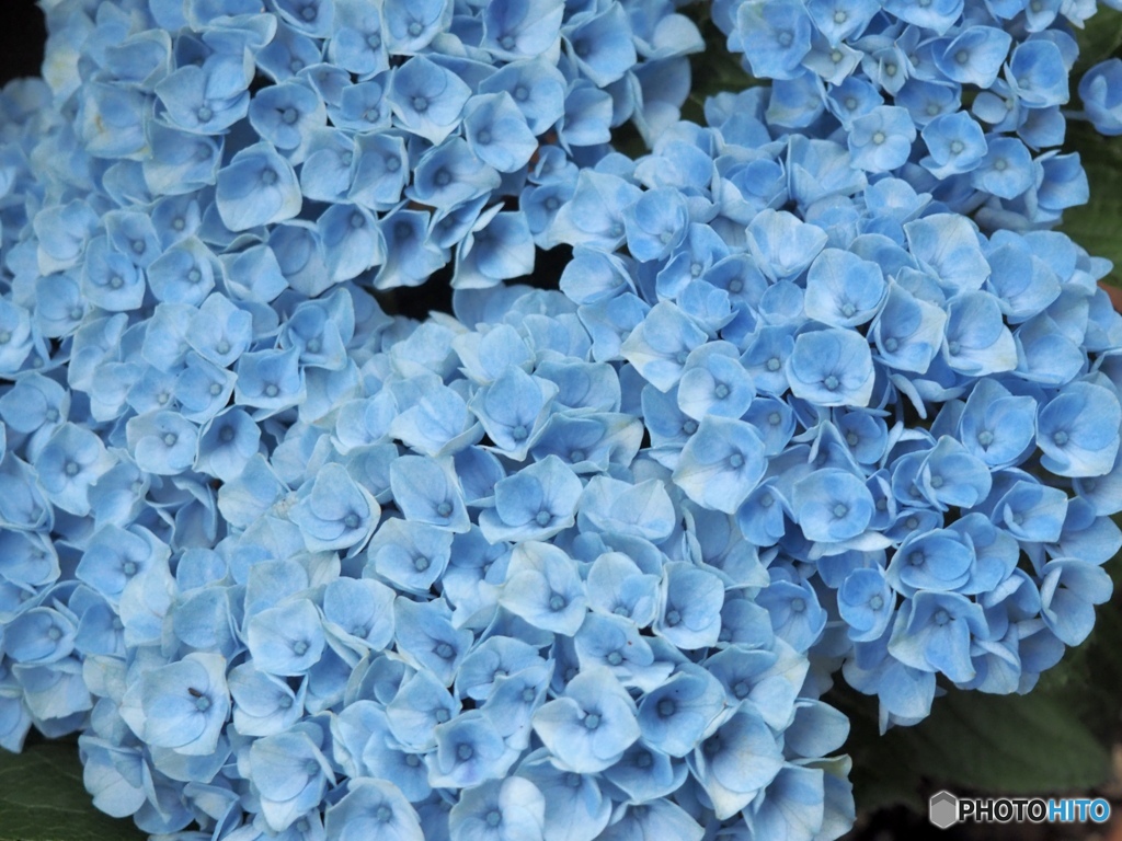 blue ball