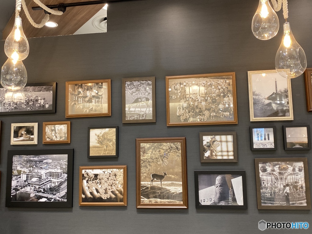 この場所が好きで…