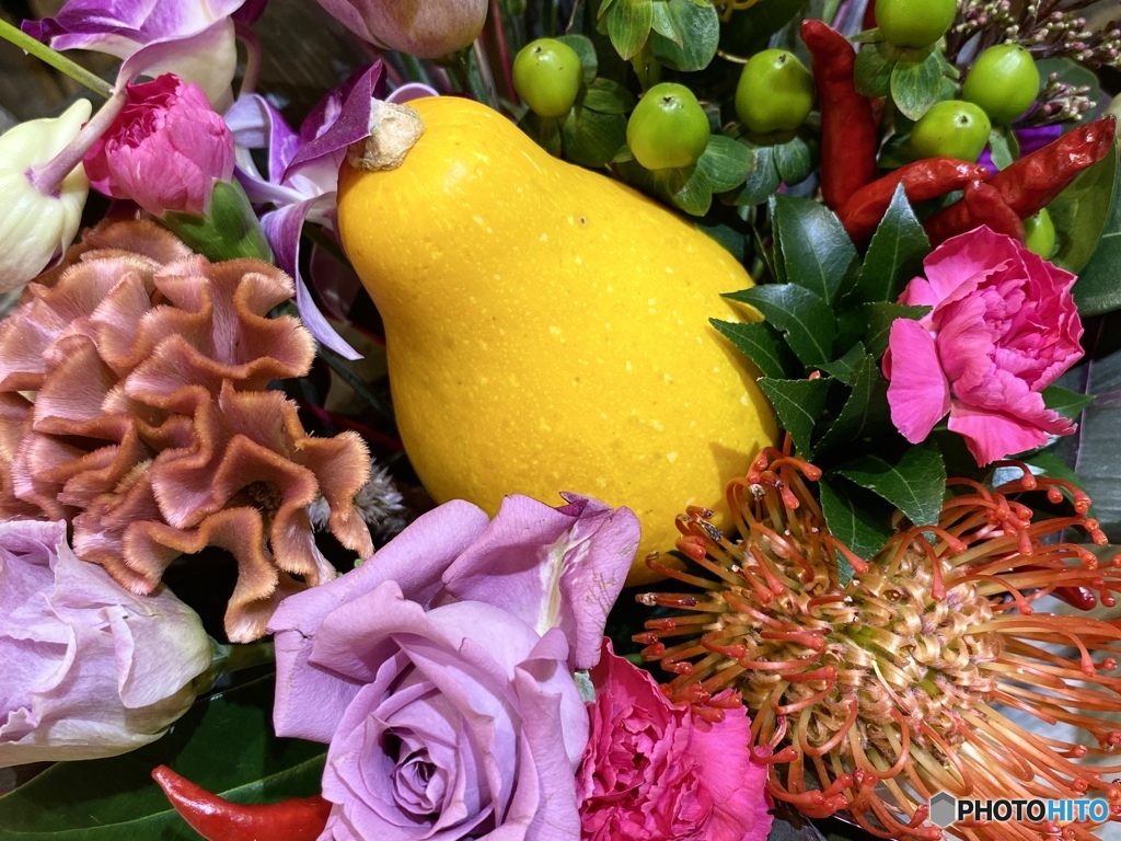 造りものじゃありません