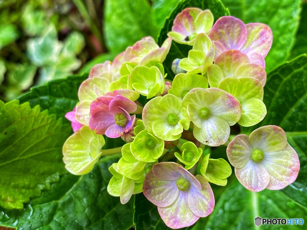 はじめまして…