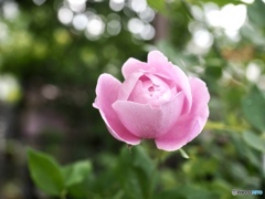 大きく深呼吸…