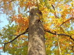 ほら、ここで手を広げて待ってるから…