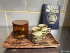 11月19日 11月19日