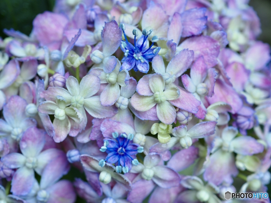 まだ仲間は眠ってる…